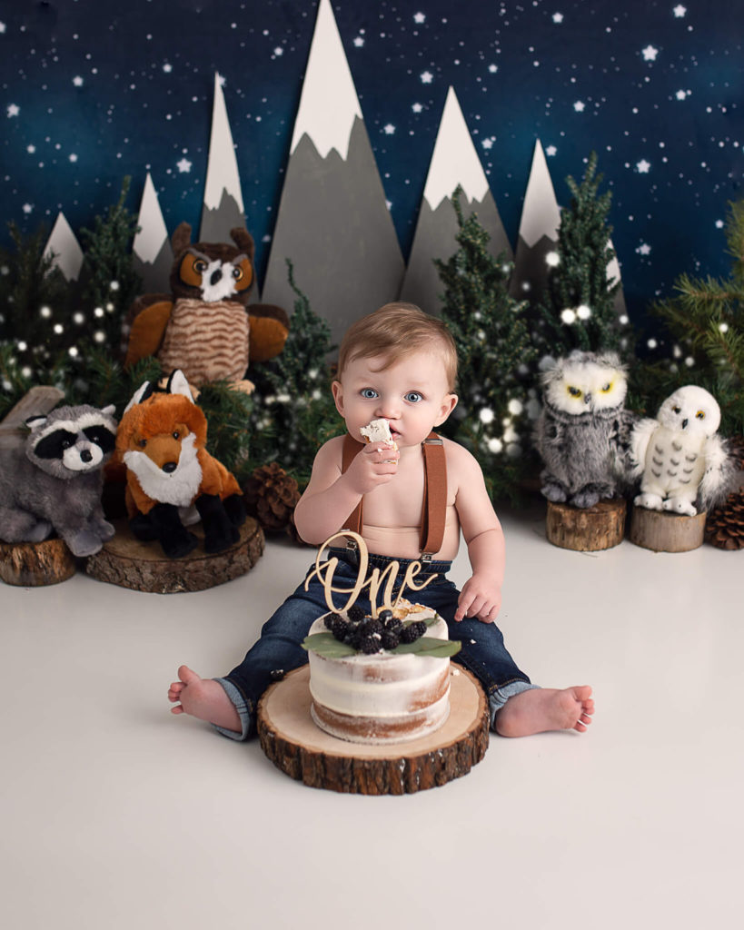 Woodland themed cake smash photoshoot by Akron OH newborn photographer
