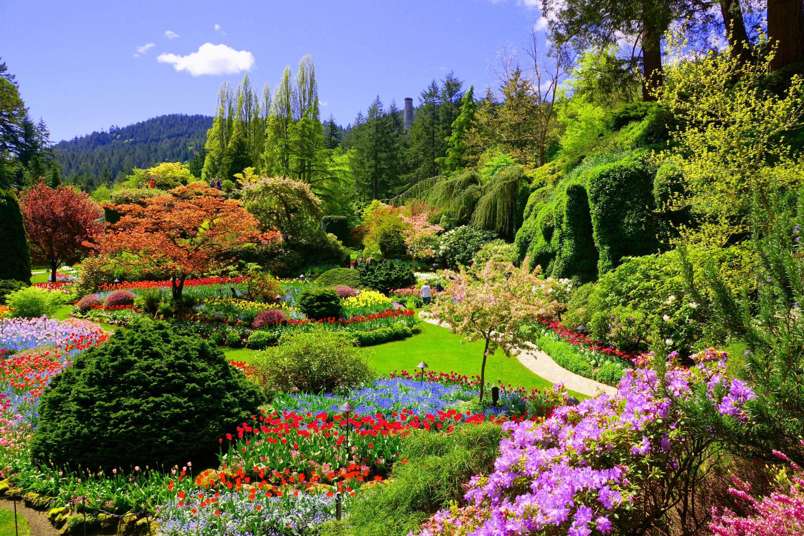 botanical gardens in springtime