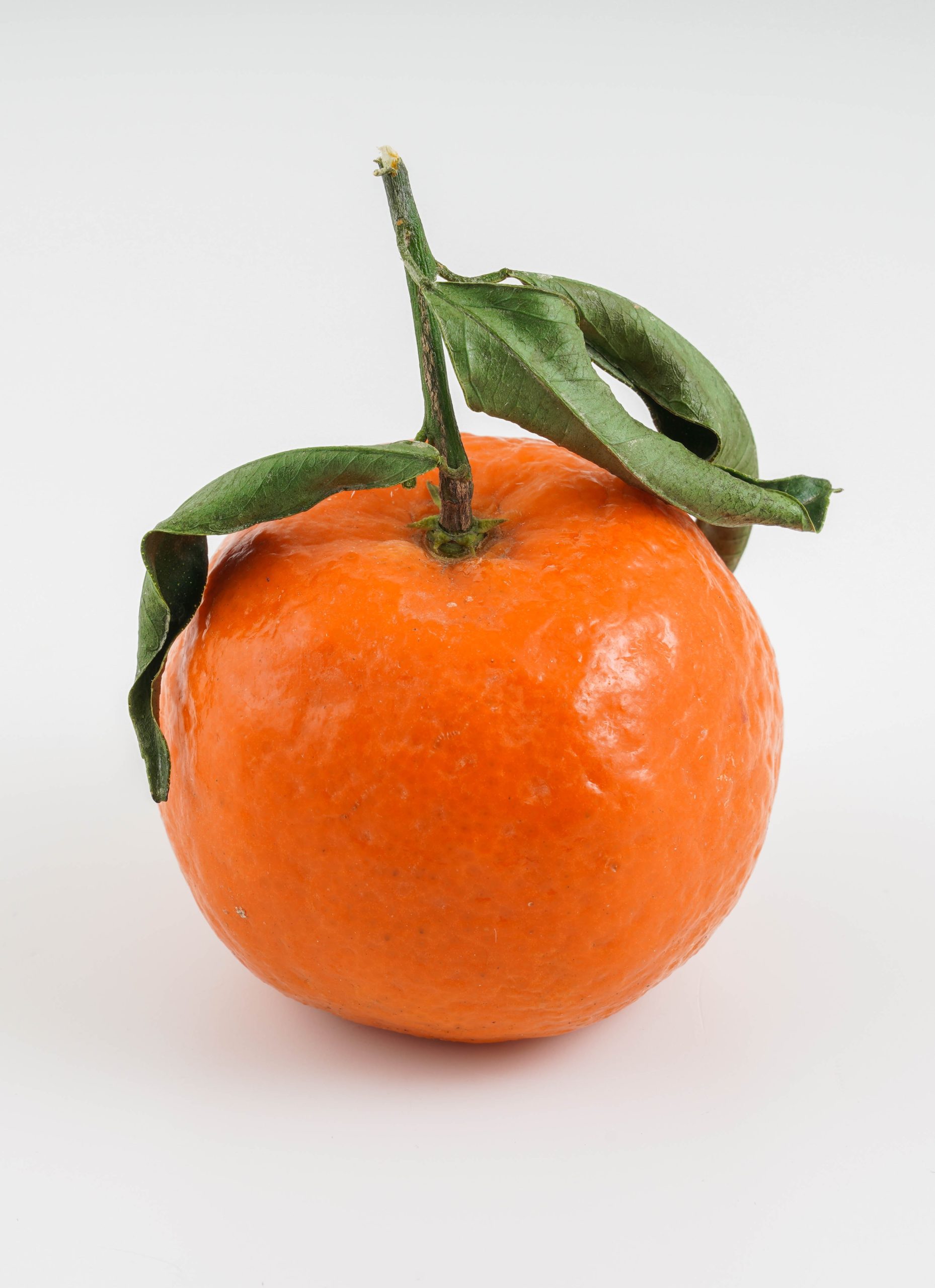close up of a clementine representing the size of the baby in your belly