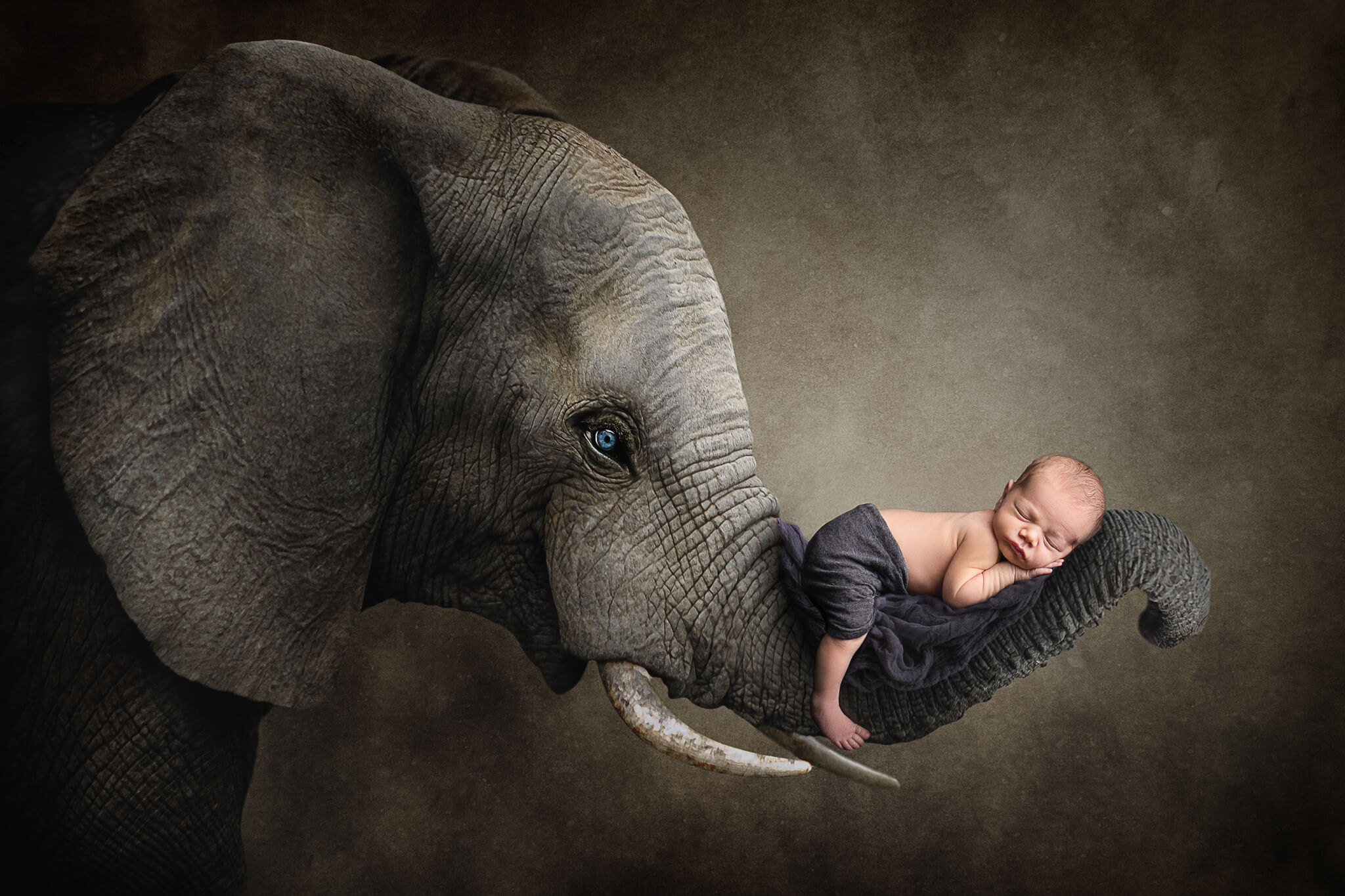 how to prevent unsafe sleep for newborns in blog digital composite of newborn on an elephant trunk